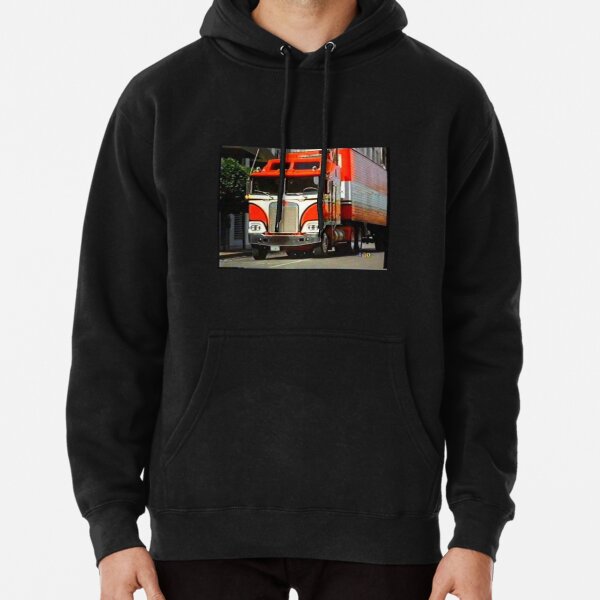 BJ and the Bear 2  Pullover Hoodie RB2709 product Offical the bear Merch